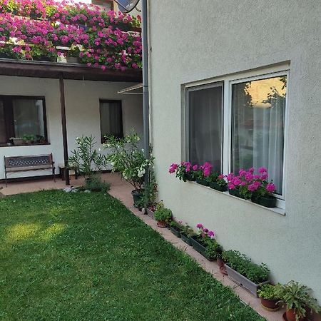Apartman Mitic Požarevac Exteriör bild