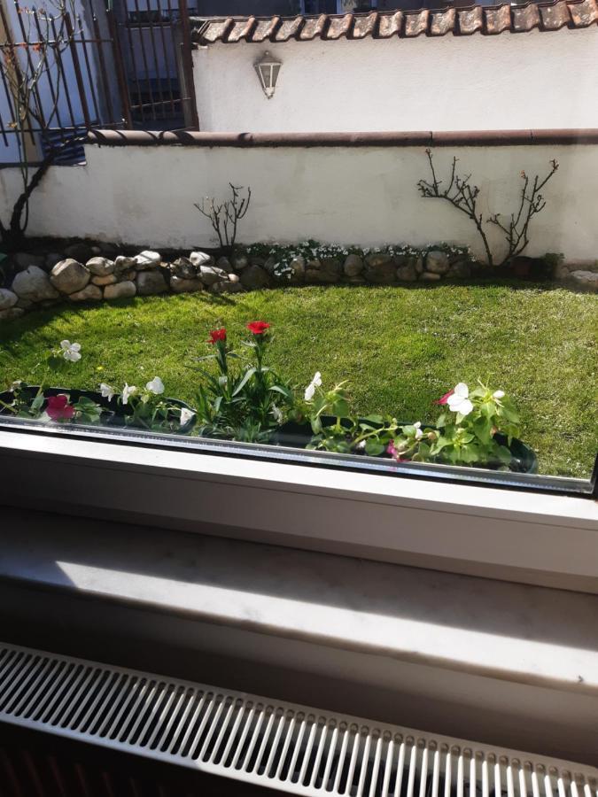Apartman Mitic Požarevac Exteriör bild